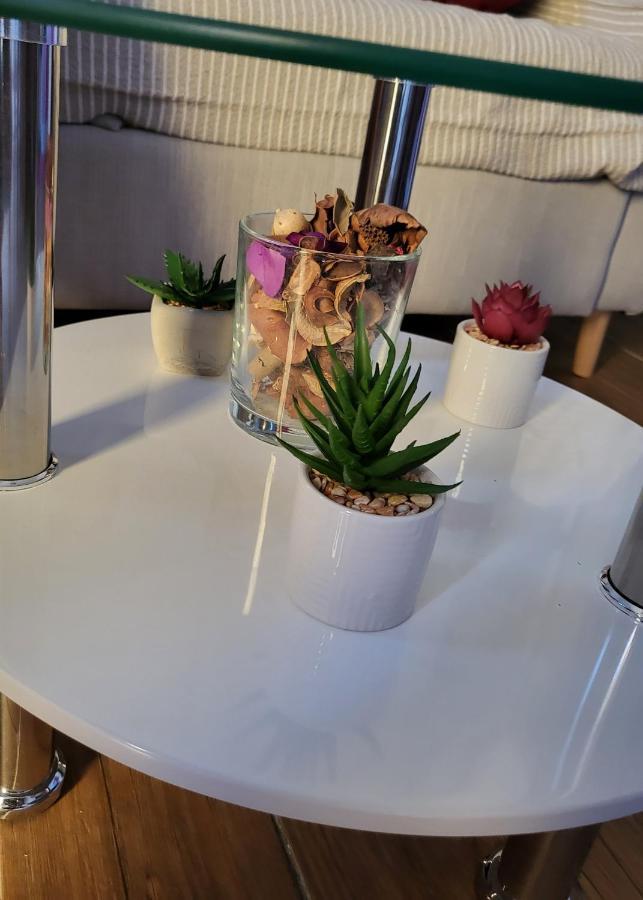 Rijeka Apartment With Free Parking And Large Balcony Esterno foto