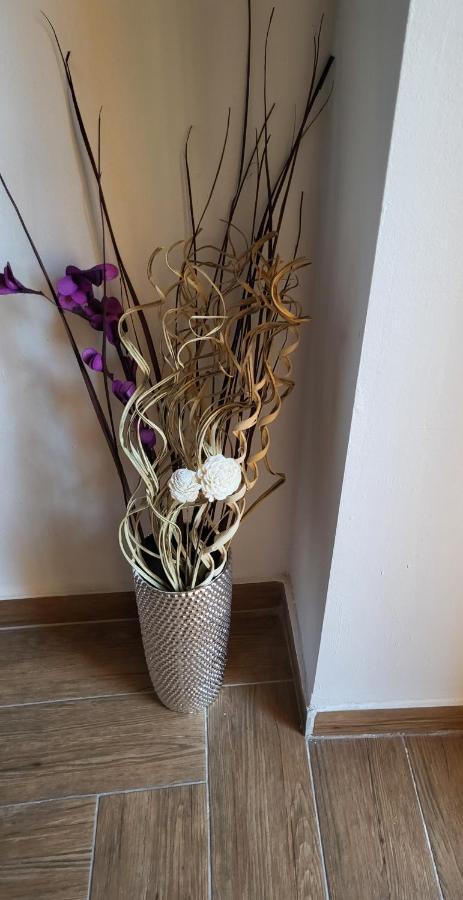 Rijeka Apartment With Free Parking And Large Balcony Esterno foto