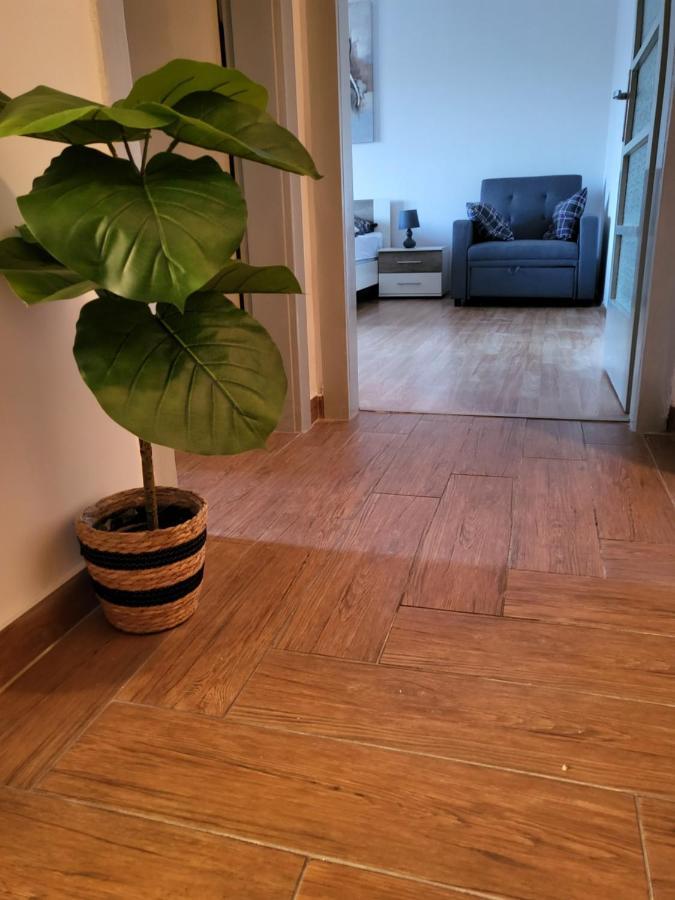 Rijeka Apartment With Free Parking And Large Balcony Esterno foto